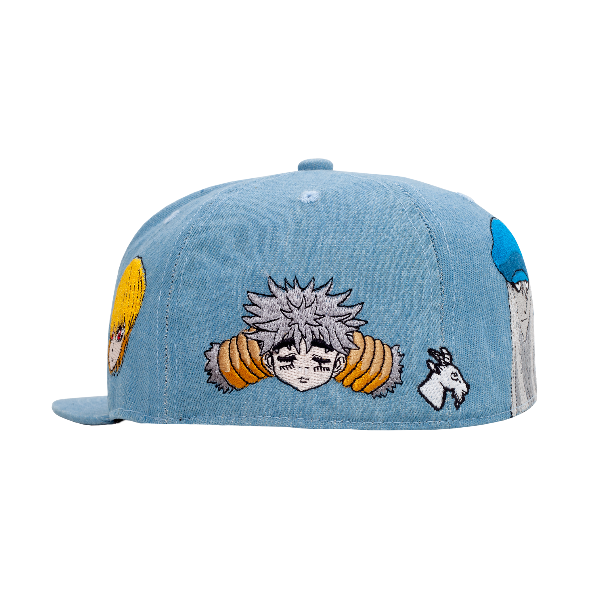 HxH Fitted Hat